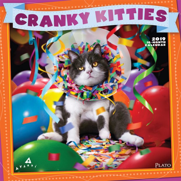 Avanti Cranky Kitties 2019 12 x 12 Inch Monthly Square Wall Calendar with Foil Stamped Cover by Plato, Angry Cat Humor