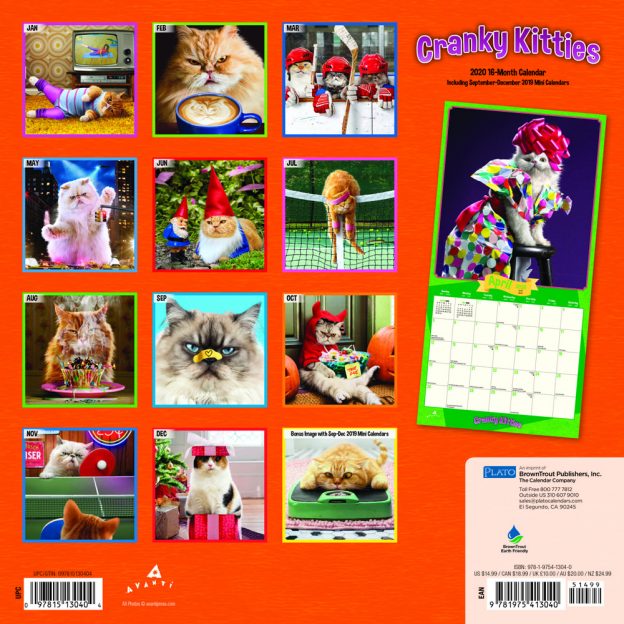 Avanti Cranky Kitties 2020 Square Wall Calendar by Plato | Plato Calendars