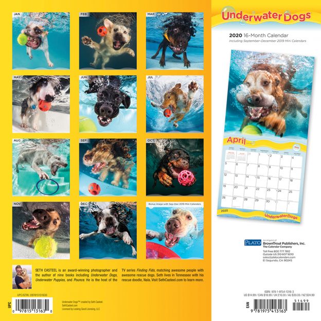 Underwater Dogs 2020 Square Wall Calendar by Plato Plato Calendars