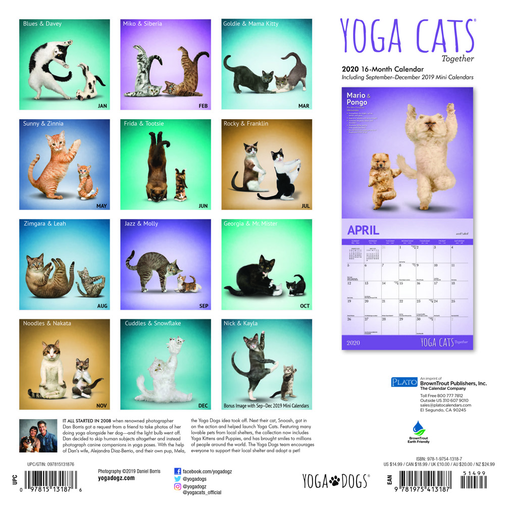 Yoga Cats Together 2020 Square Wall Calendar by Plato Plato Calendars