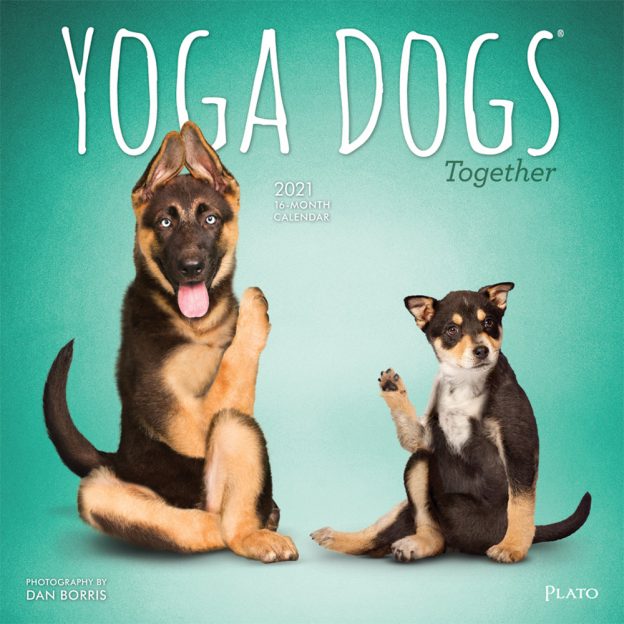 Yoga Dogs Together 2021 Square Wall Calendar by Plato | Plato Calendars