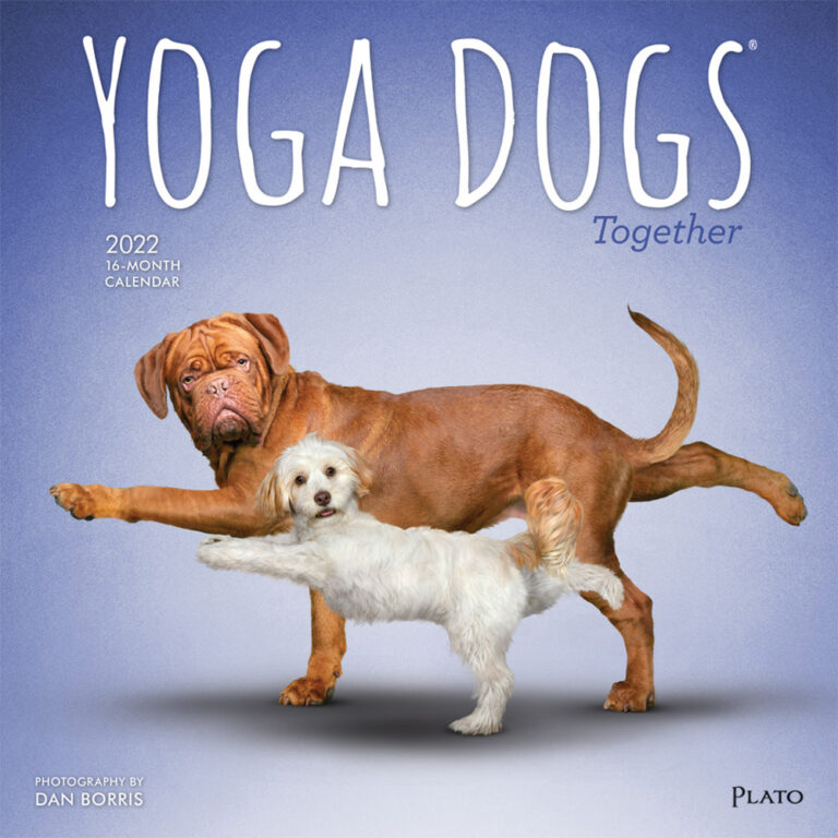 Yoga Dogs Together OFFICIAL 2022 Square Wall Calendar by Plato Plato