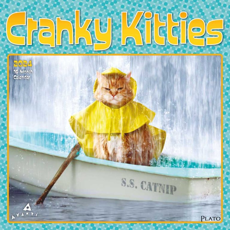 Avanti Cranky Kitties | 2024 Square Wall Calendar | Plato Calendars