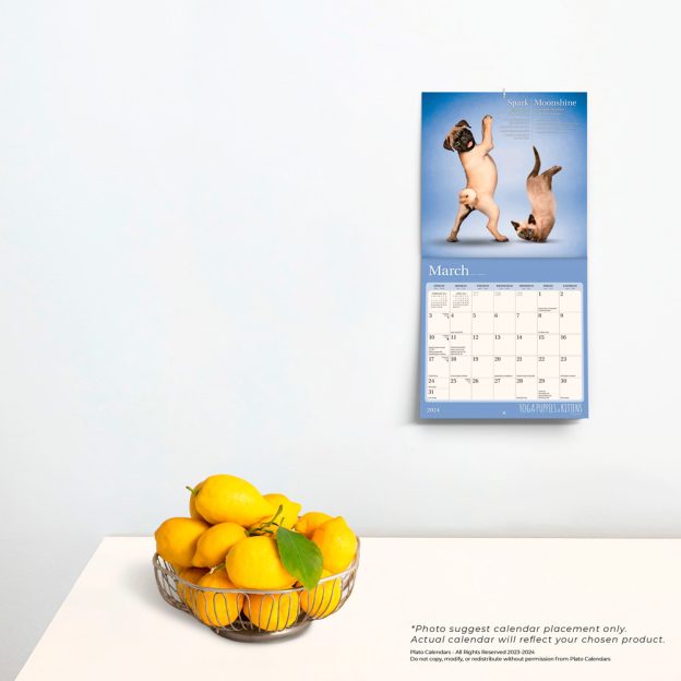 2024 Mini Wall Calendars Plato Calendars