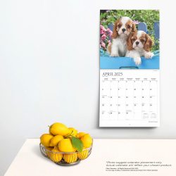 2025 12 x 24 Inch 18 Months Monthly Square Wall Calendar | July 2024 - December 2025 | Plastic-Free