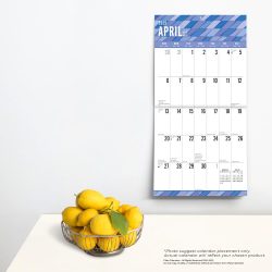 2025 12 x 24 Inch 18 Months Monthly Square Wall Calendar | July 2024 - December 2025 | Matte Paper | Plastic-Free