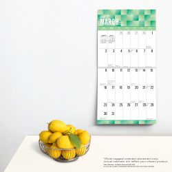 2025 12 x 24 Inch Monthly Square Wall Calendar | Matte Paper and Foil Stamped Cover | Plato