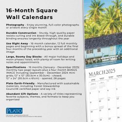 2025 12 x 24 Inch Monthly Square Wall Calendar | Foil Stamped Cover | Plato