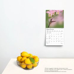 2025 7 x 14 Inch Monthly Mini Wall Calendar | Foil Stamped Cover | Plato