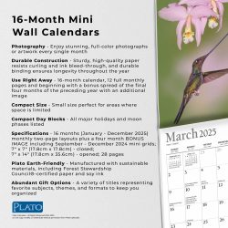 2025 7 x 14 Inch Monthly Mini Wall Calendar | Foil Stamped Cover | Plato