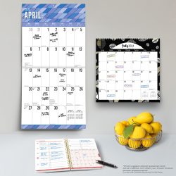2025 18 Months Bundle | Desk Planner, Square Wall, and Square Wire-O Calendar | July 2024 - December 2025 | Plato