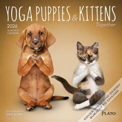 Yoga Puppies & Kittens Together OFFICIAL | 2026 7 x 14 Inch (Hanging) Monthly Mini Wall Calendar | Plato | Animals Dogs Cats Pets