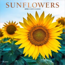 Sunflowers | 2026 12 x 24 Inch (Hanging) Monthly Square Wall Calendar | Foil Stamped Cover | Plato | Flower Floral Plant Outdoor Nature