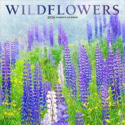 Wildflowers | 2026 12 x 24 Inch (Hanging) Monthly Square Wall Calendar | Foil Stamped Cover | Plato | Outdoor Plant Floral