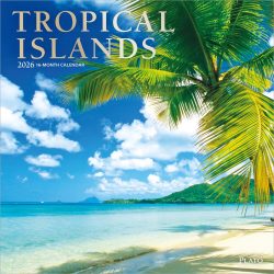 Tropical Islands | 2026 12 x 24 Inch (Hanging) Monthly Square Wall Calendar | Foil Stamped Cover | Plato | Scenic Travel Photography