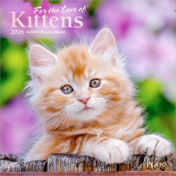 For the Love of Kittens | 2026 7 x 14 Inch (Hanging) Monthly Mini Wall Calendar | Foil Stamped Cover | Plato | Animals Cats Feline