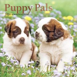 Puppy Pals | 2026 7 x 14 Inch (Hanging) Monthly Mini Wall Calendar | Foil Stamped Cover | Plato | Animals Dog Breeds Pets