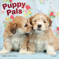 Puppy Pals | 2026 12 x 24 Inch (Hanging) Monthly Square Wall Calendar | Foil Stamped Cover | Plato | Animals Dog Breeds Pets