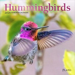 Hummingbirds | 2026 7 x 14 Inch (Hanging) Monthly Mini Wall Calendar | Foil Stamped Cover | Plato | Animals Wildlife