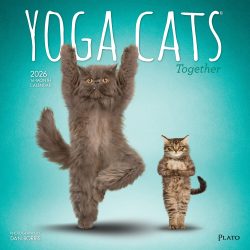 Yoga Cats Together OFFICIAL | 2026 12 x 24 Inch (Hanging) Monthly Square Wall Calendar | Plato | Animals Humor Pets