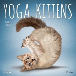 Yoga Kittens OFFICIAL | 2026 12 x 24 Inch (Hanging) Monthly Square Wall Calendar | Plato | Animals Humor Cats Feline