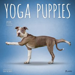 Yoga Puppies OFFICIAL | 2026 12 x 24 Inch (Hanging) Monthly Square Wall Calendar | Plato | Animals Humor Puppy Dogs Canine